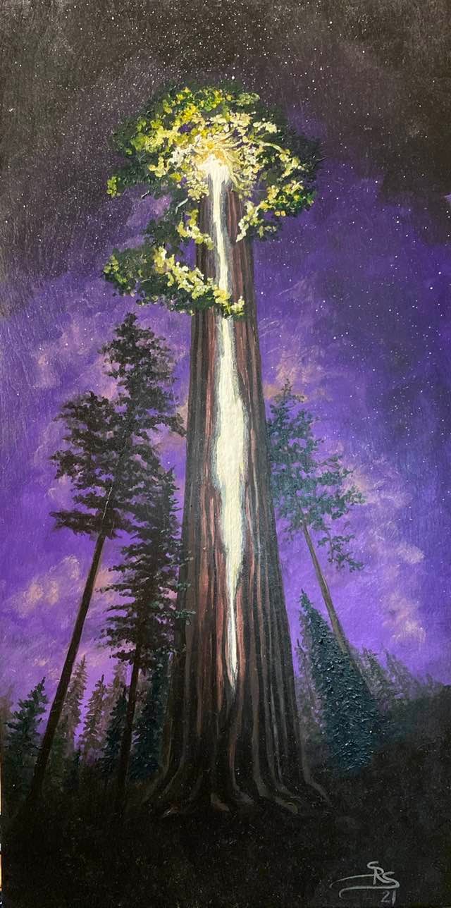 The Matriarch by Shauna Scott