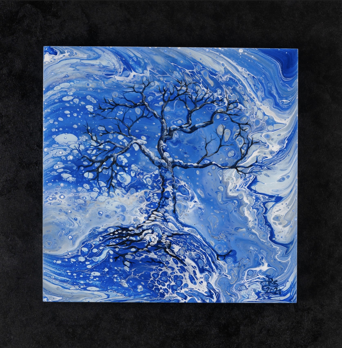 winter by Shauna Scott
