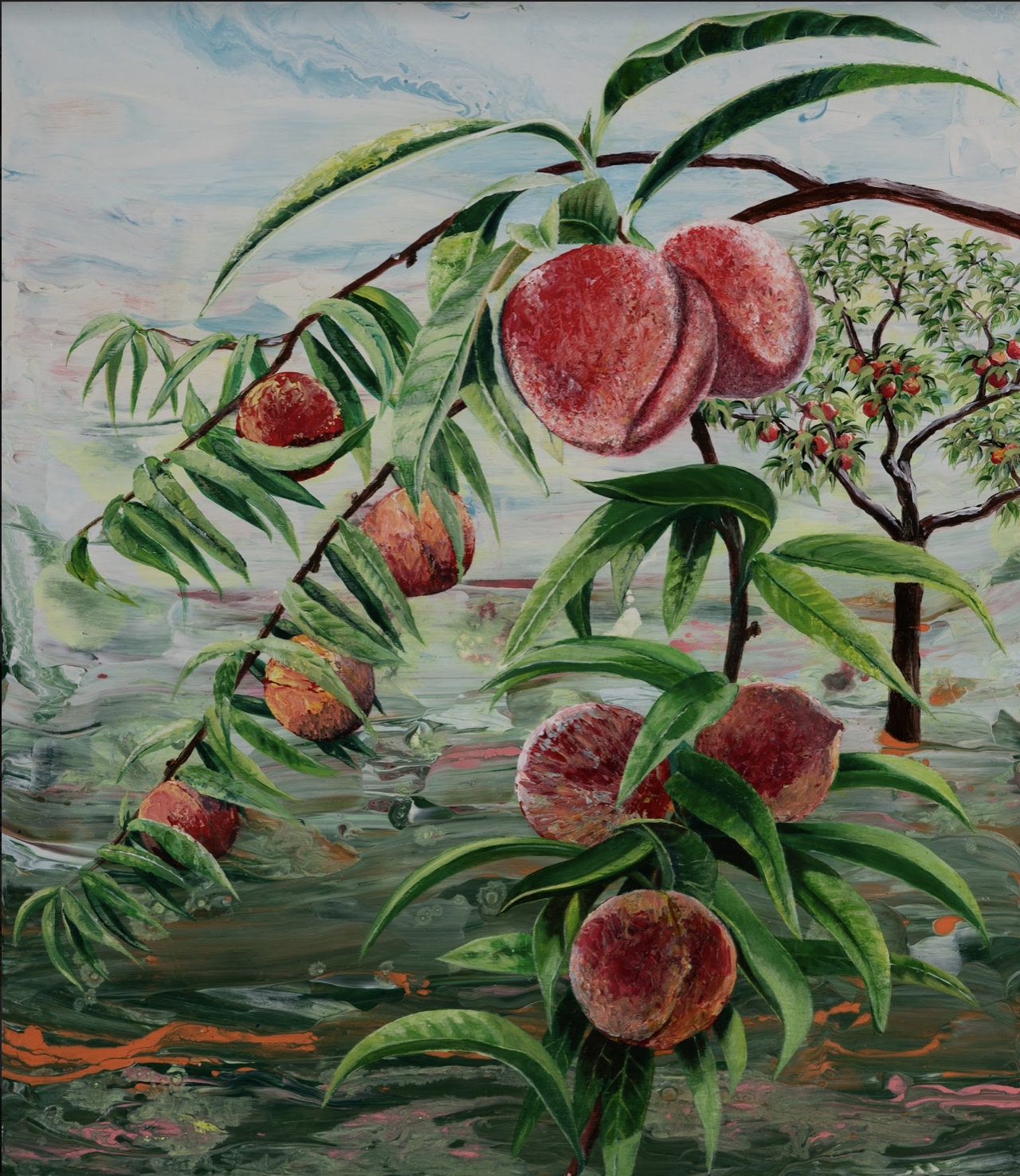 Click here to view Peaches by Shauna Scott
