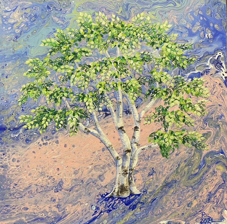 Birch Tree by Shauna Scott