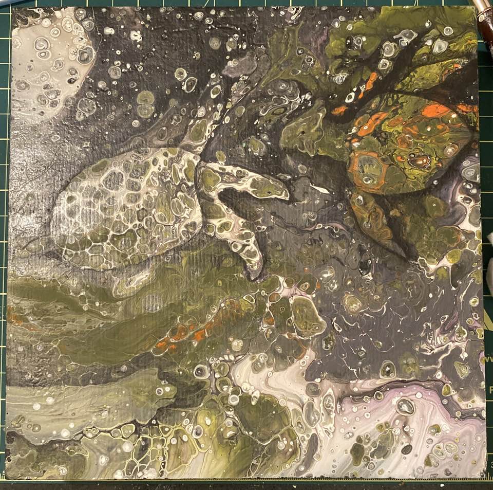 Unlikely Turtles by Shauna Scott