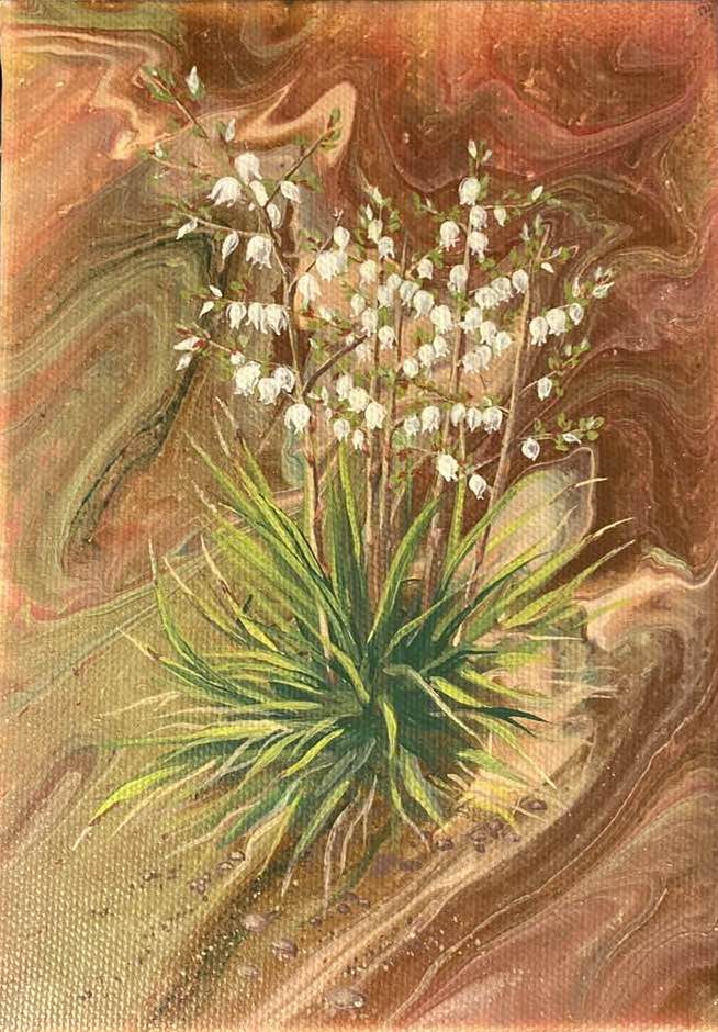 Yucca by Shauna Scott